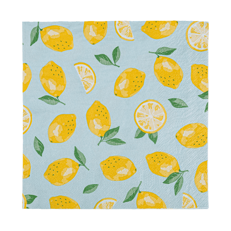 33x33 teljes nyomtatású, 2-rétegű papír szalvéták Paper friut minta SJ5101